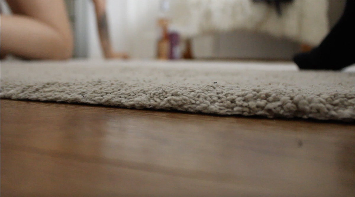 Chemin William-Lescaze